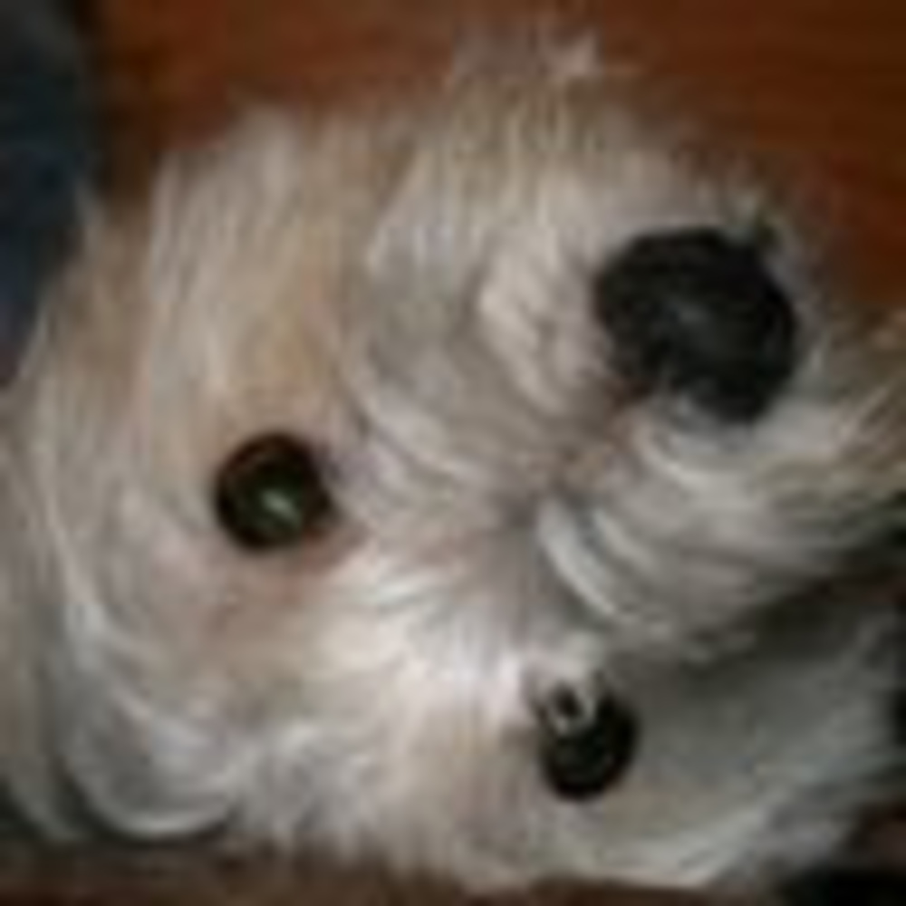 Meet your Posher, Marianne